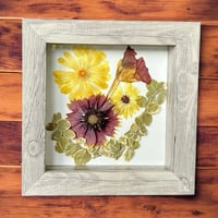 Image 3 of Calendula, Nasturtium, Indian Blanket, Euonymus Wildflower Art In 6" X 6" Shadow Box (Item# 202207S)