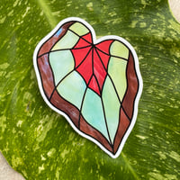 Begonia Sticker