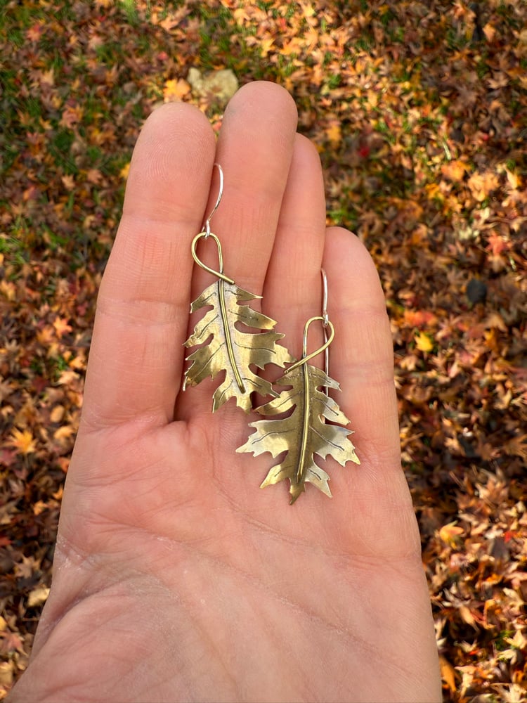 Image of Shumard Oak Leaf Brass Earrings