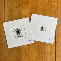 Image 1 of B/W Giclee Bumblebee #2