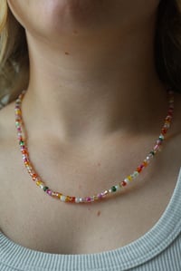 Image 2 of Candyland (long)