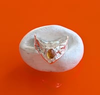 Venus (3)