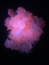 Image 2 of UV Calcite Specimen #1939