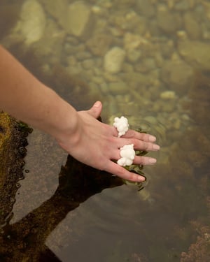 Image of LOWOOL - White Dew Ring