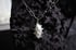 dead good ladybirds spiky necklace Image 5