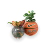 BASKETBALL PLANTS BLACK