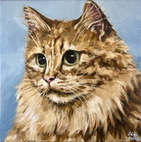 Image 1 of Maine Coon Original Oil Painting