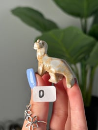 Image 15 of CHOOSE YOUR OWN MINI SOAPSTONE DINOSAURS