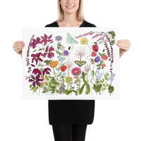 Image 6 of Garden Fireworks- Poster Print
