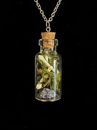 Image 3 of Bones & Gemstones Oddity Jar Necklace