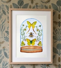Image 6 of Insect Art Print April Dome, Under Glass Collection copy