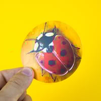 Image 2 of CIRCLE