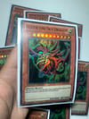 Slifer 