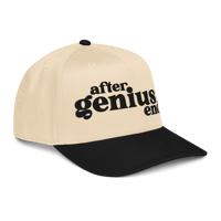 Image 1 of A.G.E. 5 - Panel