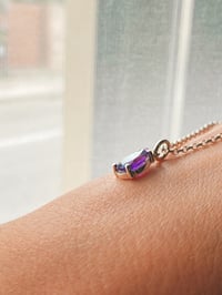 Image 3 of Penjoll de grapes