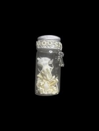 Image 2 of baby rat skull & bones jar