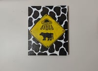 Image 1 of Cow Obduction