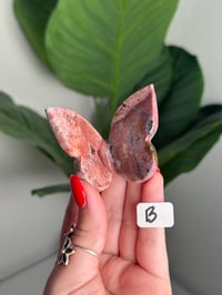 Image 2 of CHOOSE YOUR OWN UNICORN JASPER BUTTERFLIES