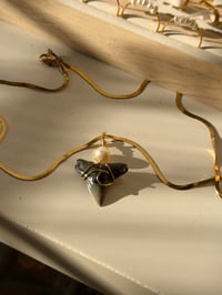 Image 3 of Wave Shark Tooth & Pearl Necklace