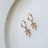 Image 1 of Lily
