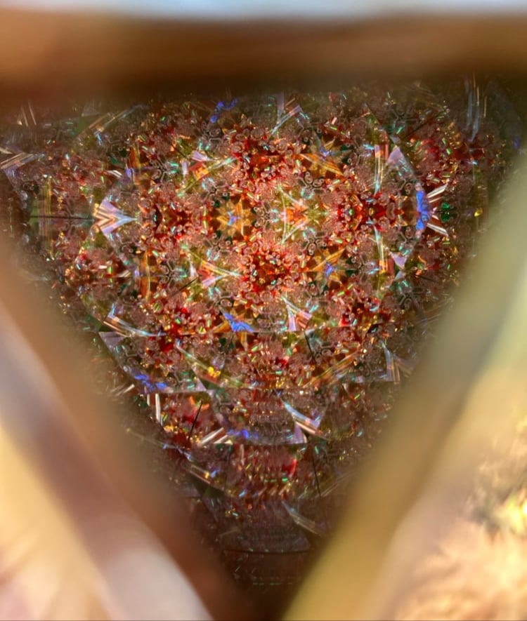 Image of Red Rose Garden AuraScope