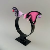 Image 2 of Pink/Lilac Jester Kitten
