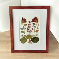 Image 4 of Genuine Nasturtium, Obsession Nandina, Catmint And Mum Leaves In 8" X 10" Frame (Item# 2021168)