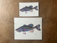 Reproduction Linocut Print - bass