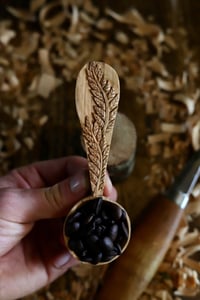 Image 7 of  Fern Leaf Coffee Scoop Special