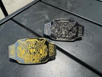 Image 4 of RFP Title Belt Pins