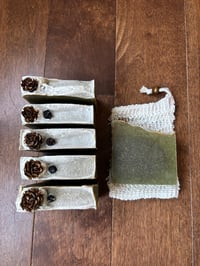 Image 3 of Balsam Cedar