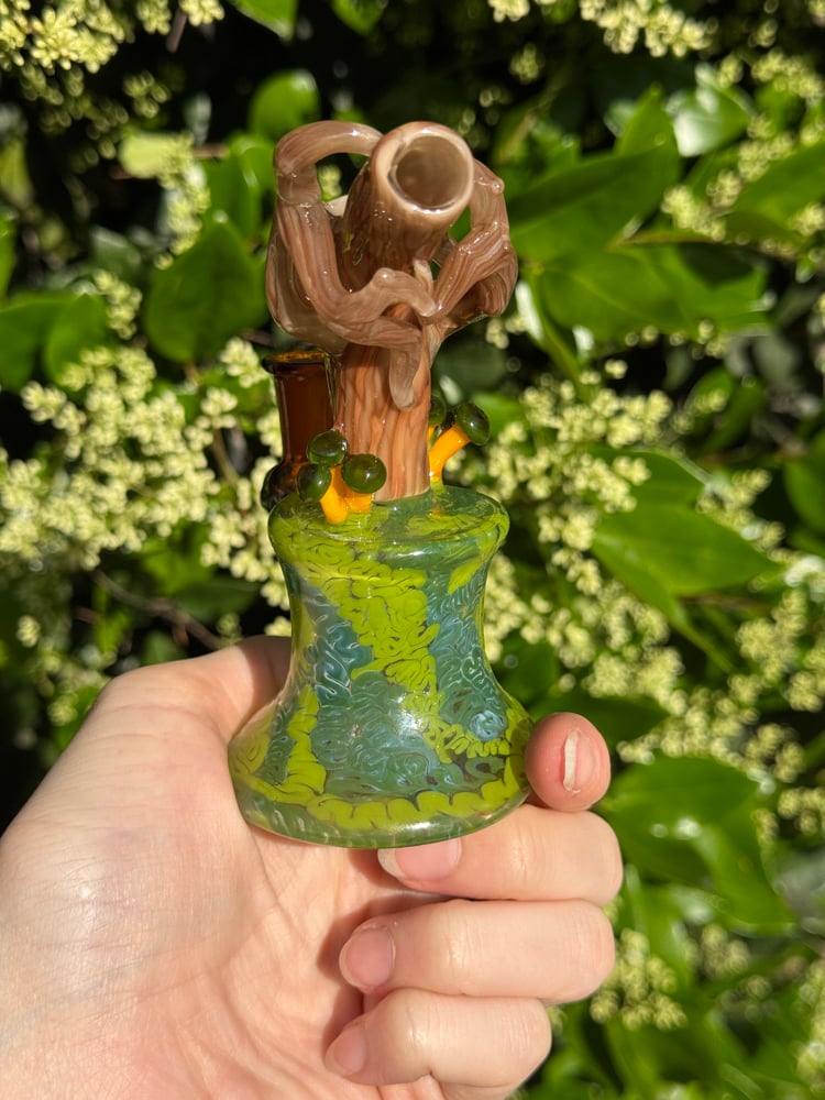 Image of Green Headed Jelly Jammer 