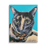 Image 1 of Tortoiseshell Treasure