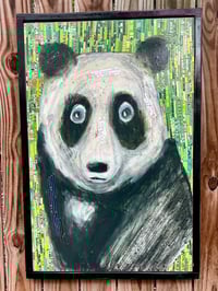 Image 2 of Matrix Panda