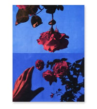 Image 1 of PICK ROSES AT NIGHT V