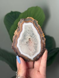 Image 1 of DOUBLE SIDED LAGUNA AGATE SLICE A