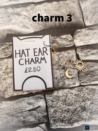 Image 12 of Ed's hats and charms