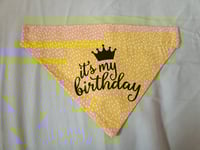 Image 2 of Birthday Dog Bandana
