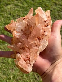 Image 20 of Pink Madagascar Quartz Cluster | Madagascar #3019