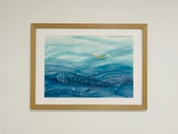 Image 1 of ORIGINAL ''Swimming with a Whale Shark''