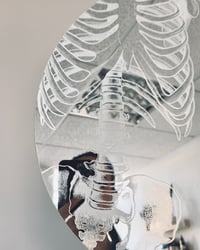 Image 5 of rib cage and hip bones - Bone Collection - 38cm round mirror