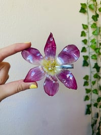 Image 1 of 💜🌼Golden Hour Tulip🌼💜 Hairclip 