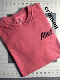 Image 4 of Alief Embroidered T-shirt / Custom Colors