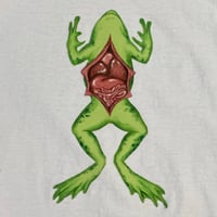 Image 2 of 1 of 1 Dissection Raglan