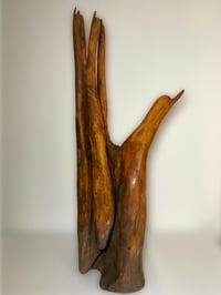 Image 1 of Grasp