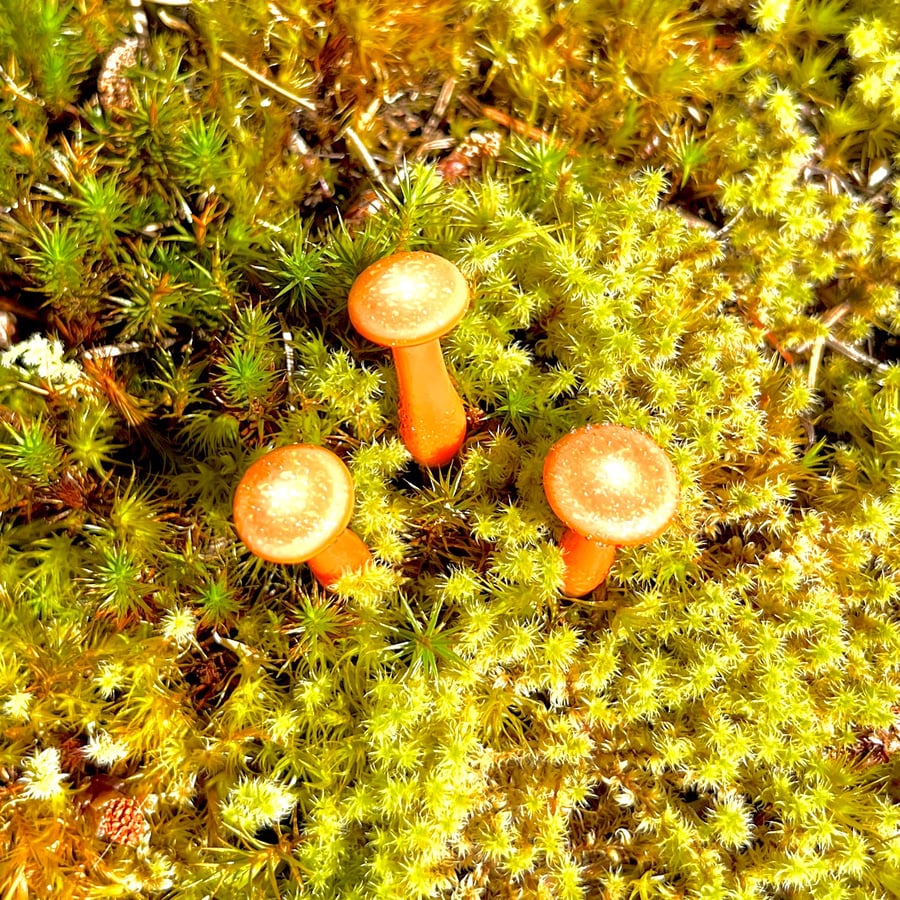 Image of 3 Orange Mushroom Plant Spikes