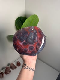 Image 1 of XL MOZAMBIQUE AGATE FREEFORM #2