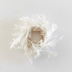 Image of Dollhouse Pampas Wreath and Bats