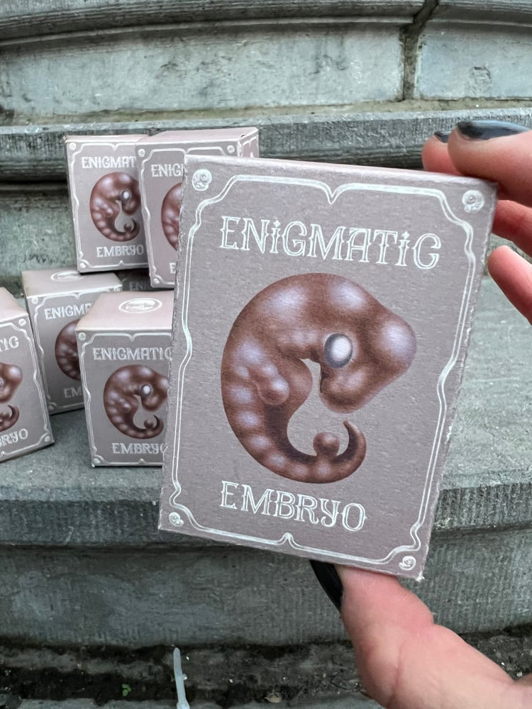 Enigmatic embryo box | Polymerase