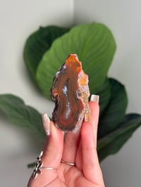 RAINBOW CONDOR AGATE -ARGENTINA- #5 OTHER HALF